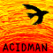 音楽-ACIDMAN