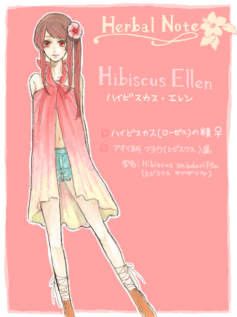 HN  Hibiscus Ellen