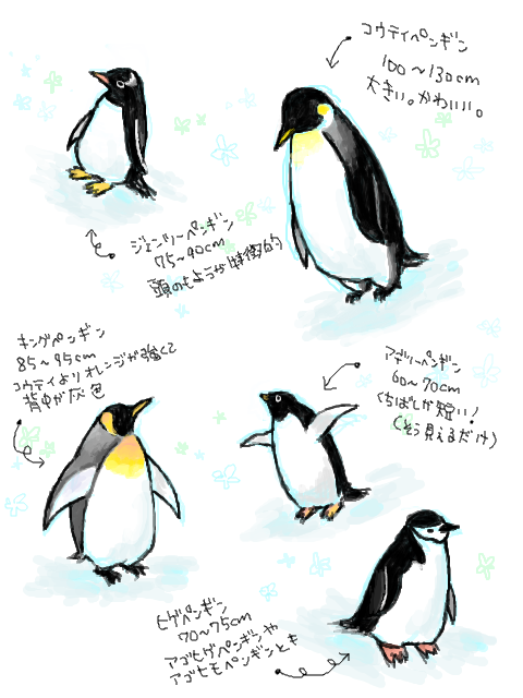 南極のペンギンたちラブ