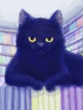 本屋さんの黒猫。