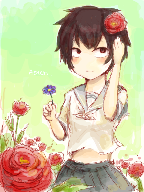 RE：Aster