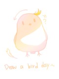 Draw a bird day