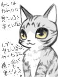 猫の愚痴