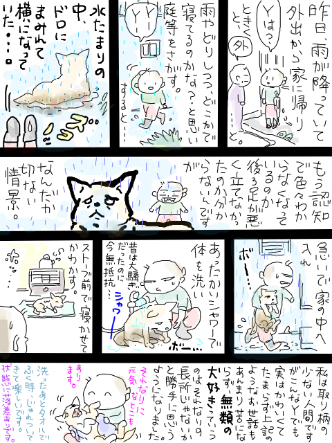 雨の日のＹ