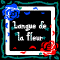 創作‐企画‐Langue de la fleur