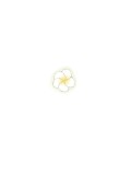 【BB】プルメリアの花