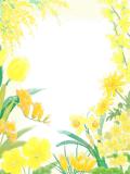 春の黄色い花