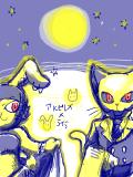 星猫と月兎