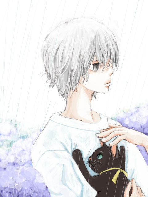 雨と少年と猫