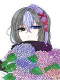 【鬼花】紫陽花。