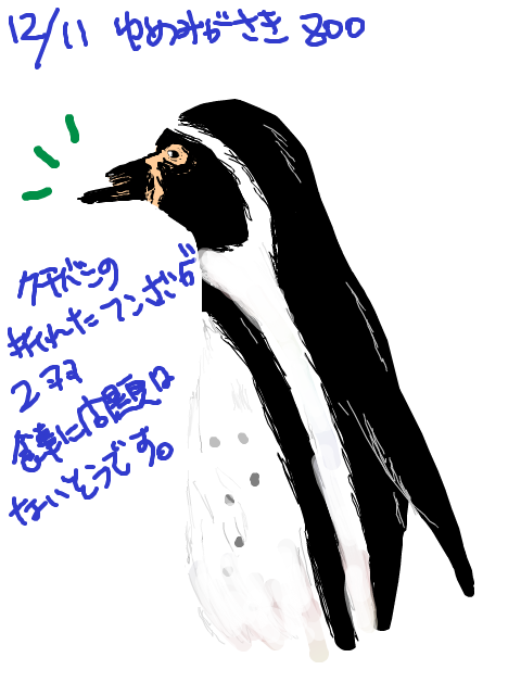 夢見が崎動物園のフンボルトペンギン