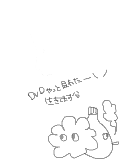 DVD！DVD！お久しぶりです＾＾