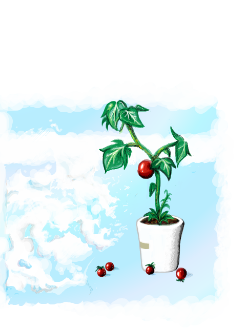 トマトの植木