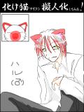 【化け猫擬人化】　ハル