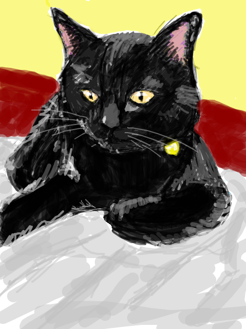 黒猫タン