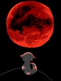 赤い月と獣