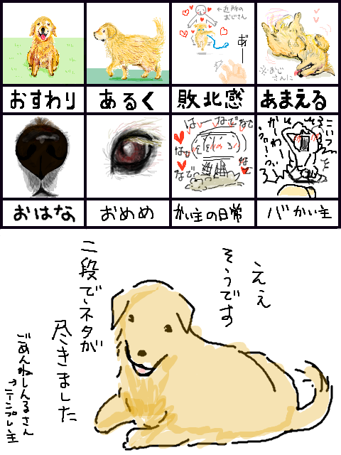 犬ですいつも通りです