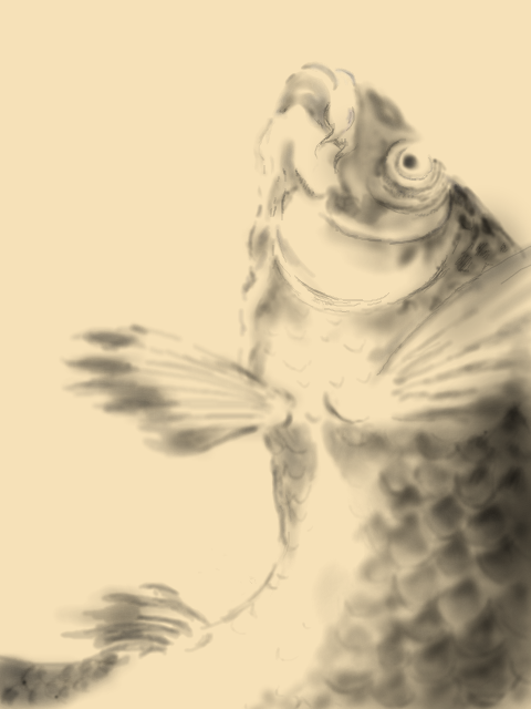 椿椿山　鯉魚図