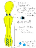 ドゥードゥーの中身