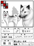 【機能隊】機能犬　ヴィクトル