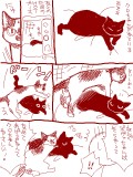 やさしい黒ちゃん