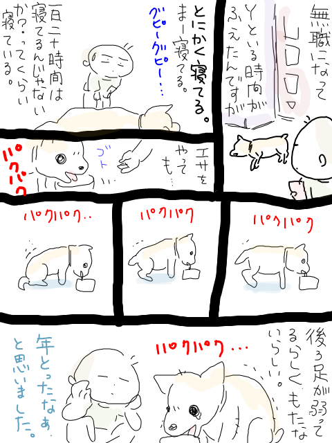 老犬Ｙ