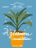 【No.002】Aglaonema commutatum