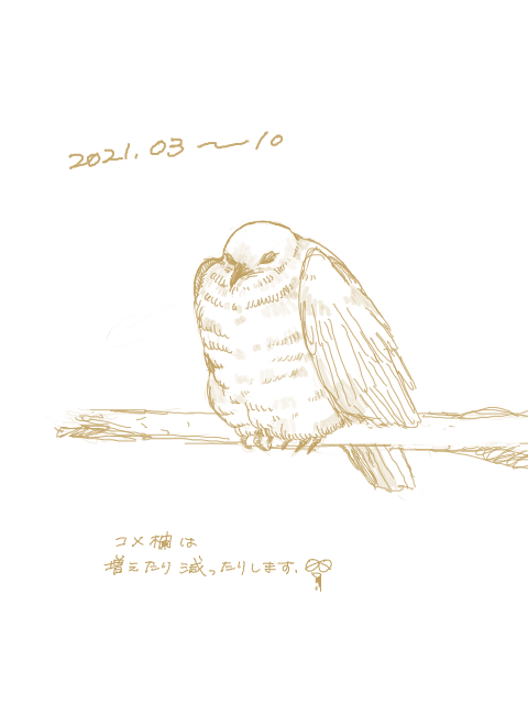 rkgk/雑記