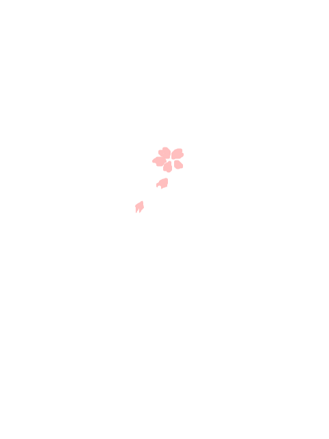 恋桜
