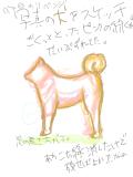 スケッチ