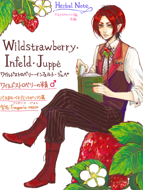 HN Wildstrawberry Infeld Juppé     ....