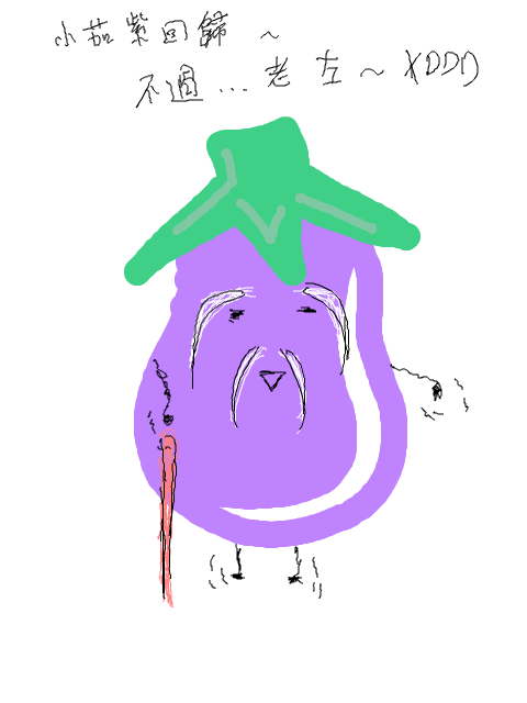 小茄紫的N年日記