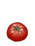 第3弾　トマト