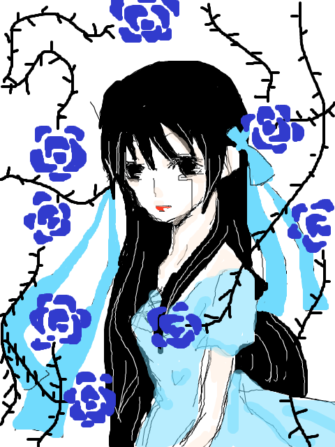  Blue rose 