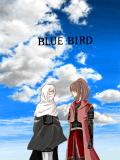 関ヶ原　-BLUE BIRD-