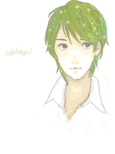 a cabbage