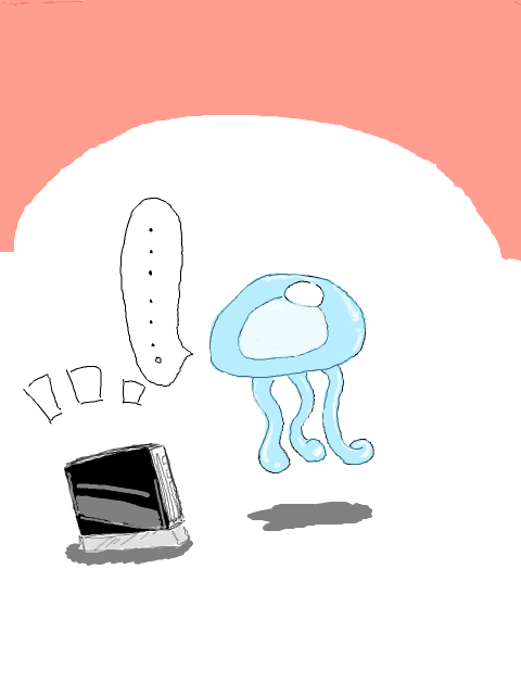 Wiiがきた・・・・・・