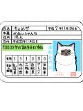 猫の免許証